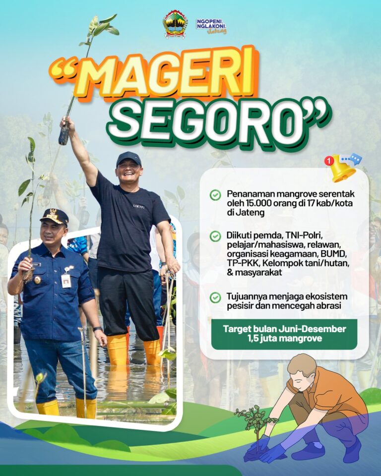 Program Gubernur Mageri Segoro - Penanaman Mangrove
